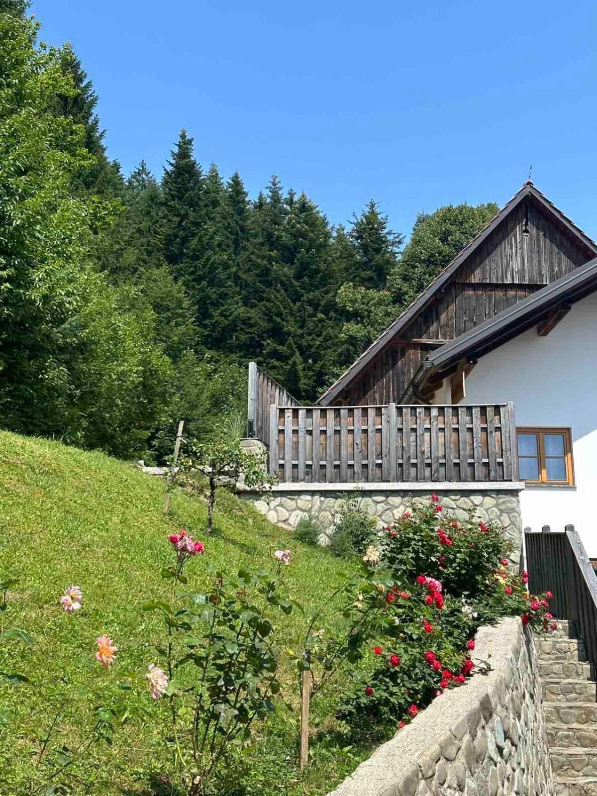 Rose Garden Apartman Ljubno Kültér fotó